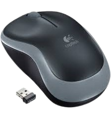 Logitech B175 Wireless Mouse
