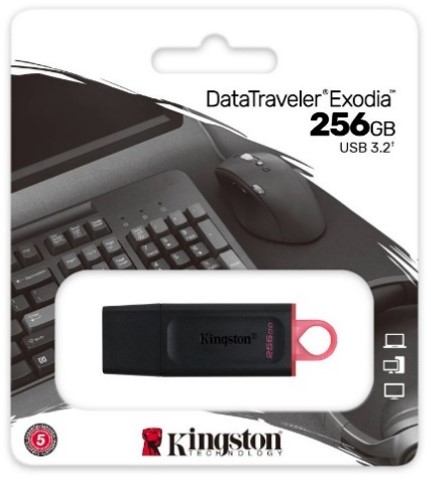 Kingston 256GB Pen Drive
