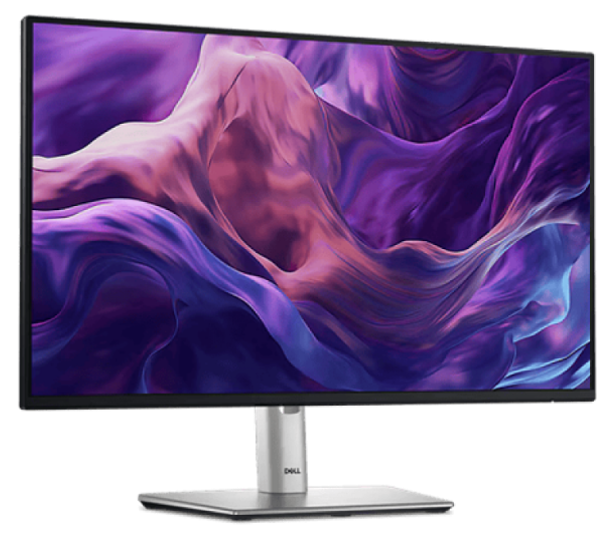 Dell P2425H 24-inch Monitor
