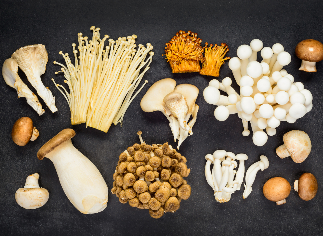 Mushroom Varieties