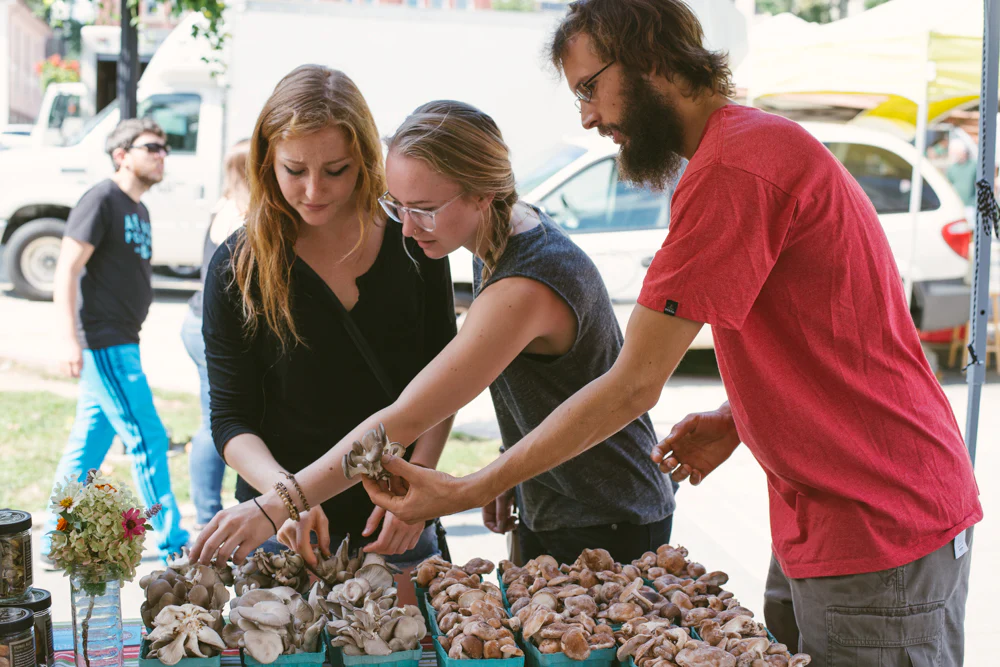 Cultivation Consulting