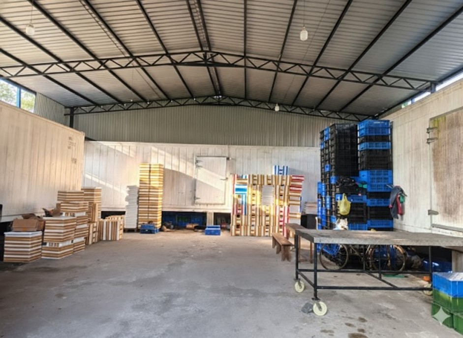 Professional fish processing line