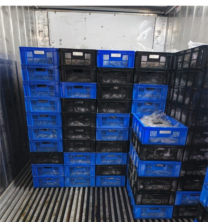 Sri Lankan fishing harbor